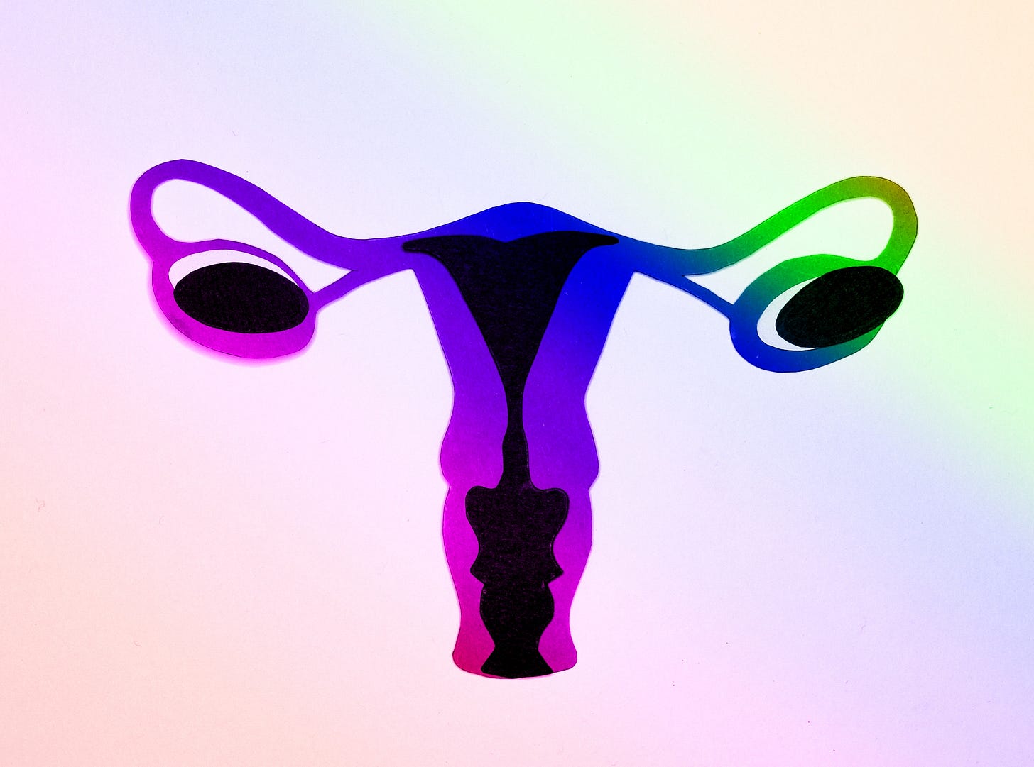 Lady With Fetuses In Coolers Convicted, But Not For The Fetuses In The Coolers