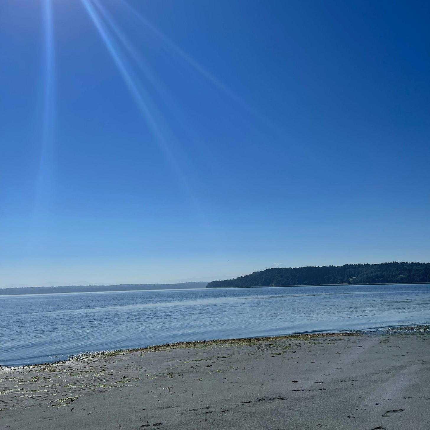 a hot summer's day by Michelle the hello, you