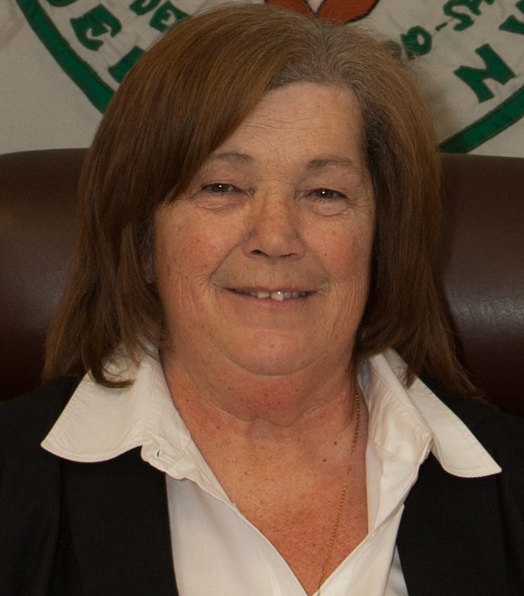 Flo Santini Port Jervis City School District Candidate