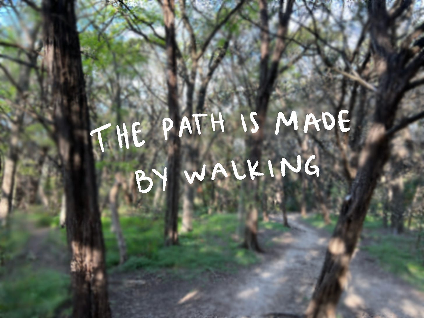 the path is made by walking - by Nihel - Notes on Becoming
