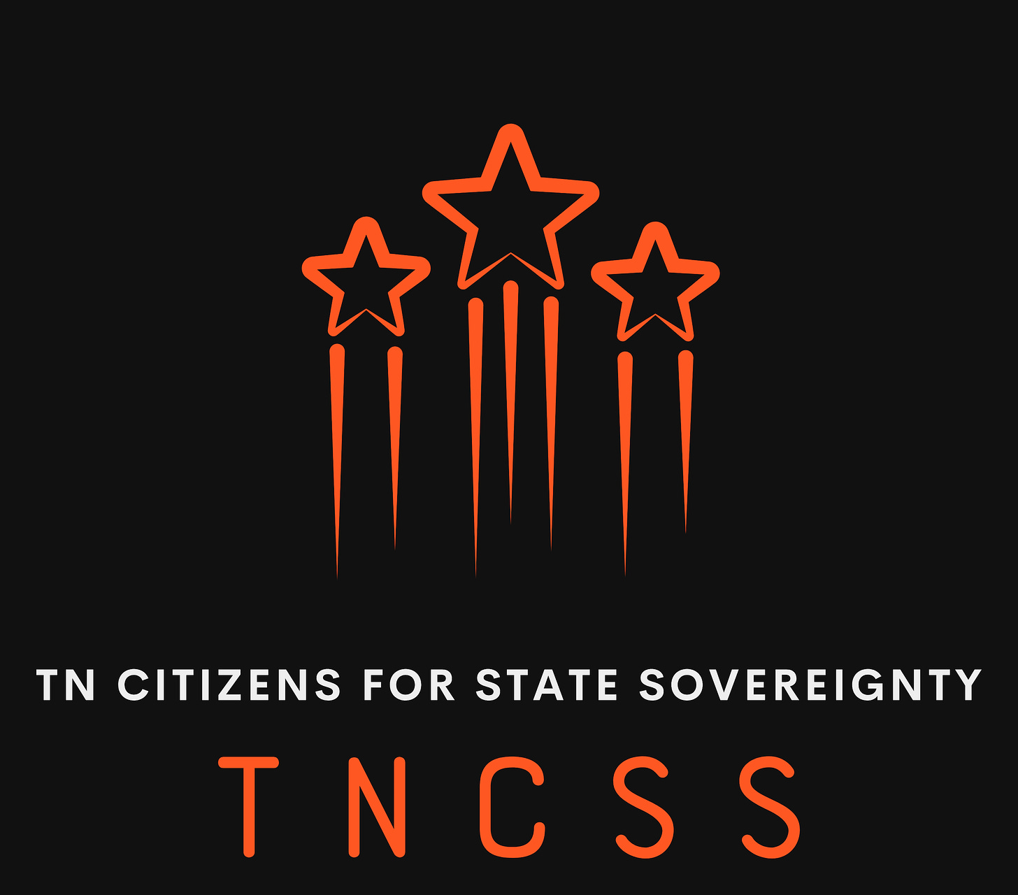 2024 Legislative Session/New TNCSS County Leaders/TN Informer/Urgent