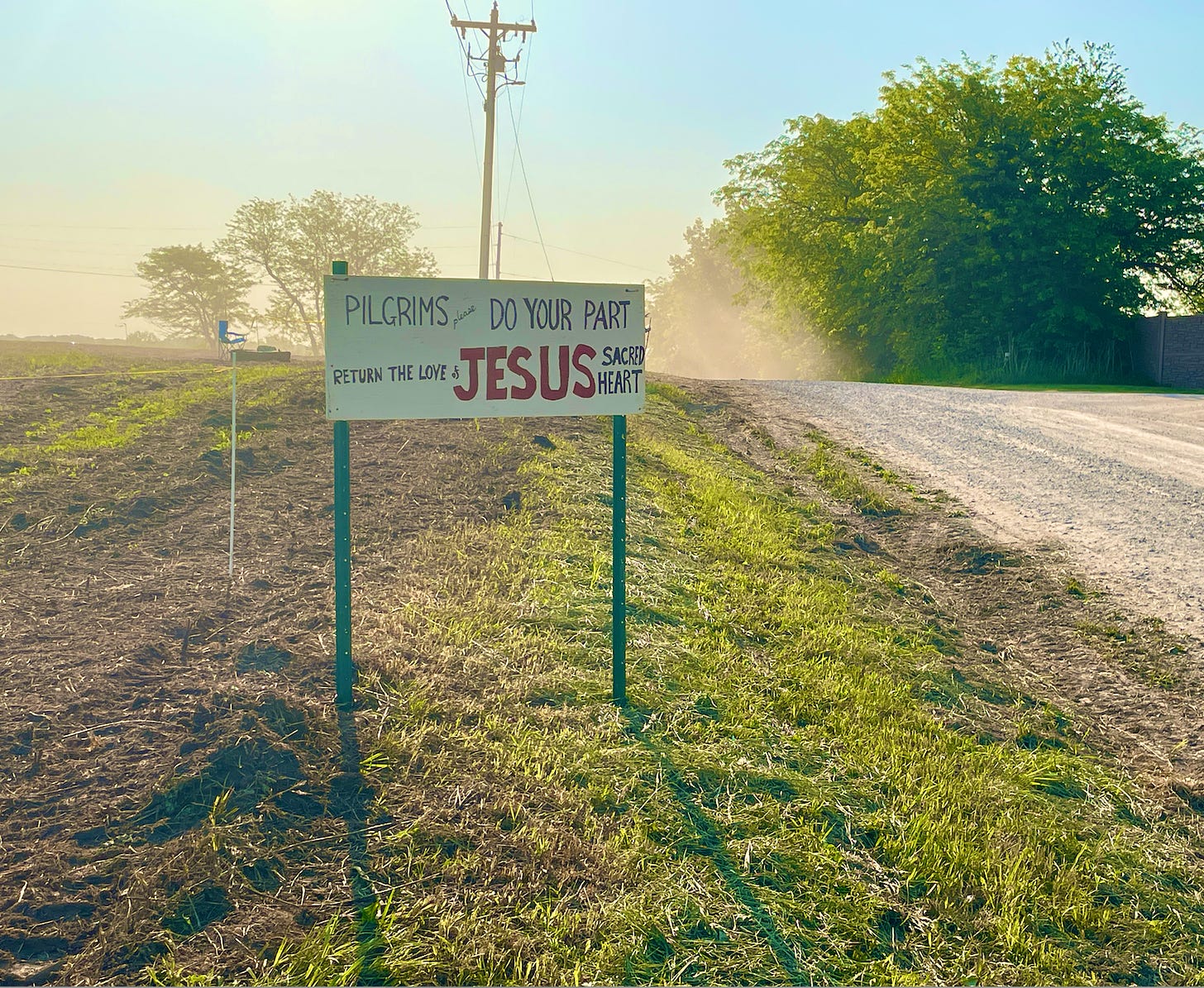 'I want to see for myself' Thousands look for miracle at Gower Abbey