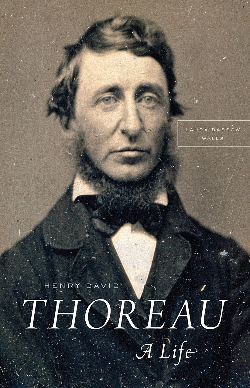 Time to Walden YOUR Thoreau! – by Sara Benincasa Time to Walden YOUR Thoreau! – by Sara Benincasa