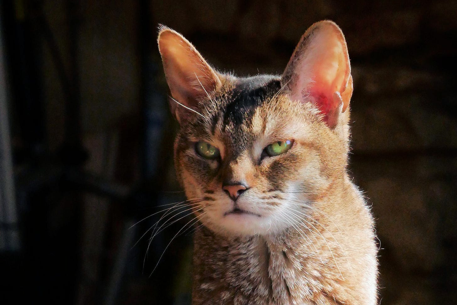 It’s Okay If Foreign Governments Give The President Minimum Of .8 Million While He’s In Office If It’s Trump Right?