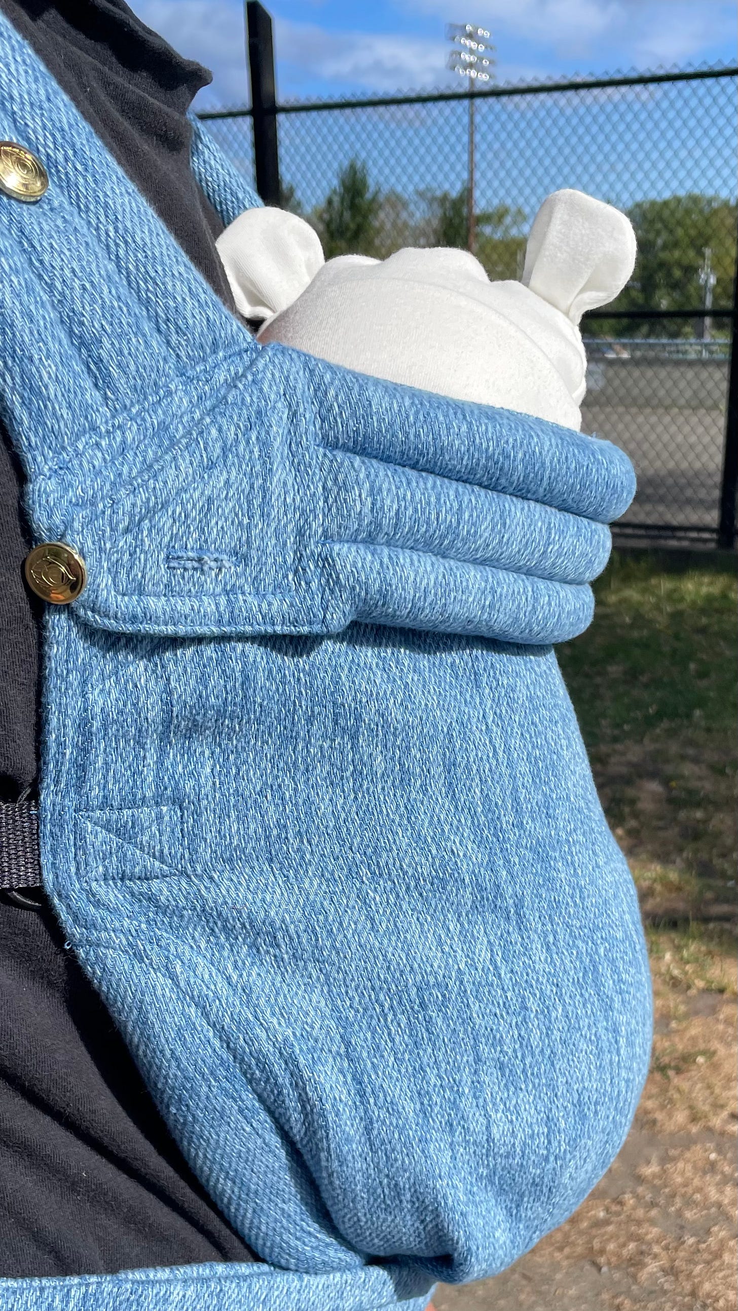 Artipoppe Carrier InstaWorthy or Overhyped?