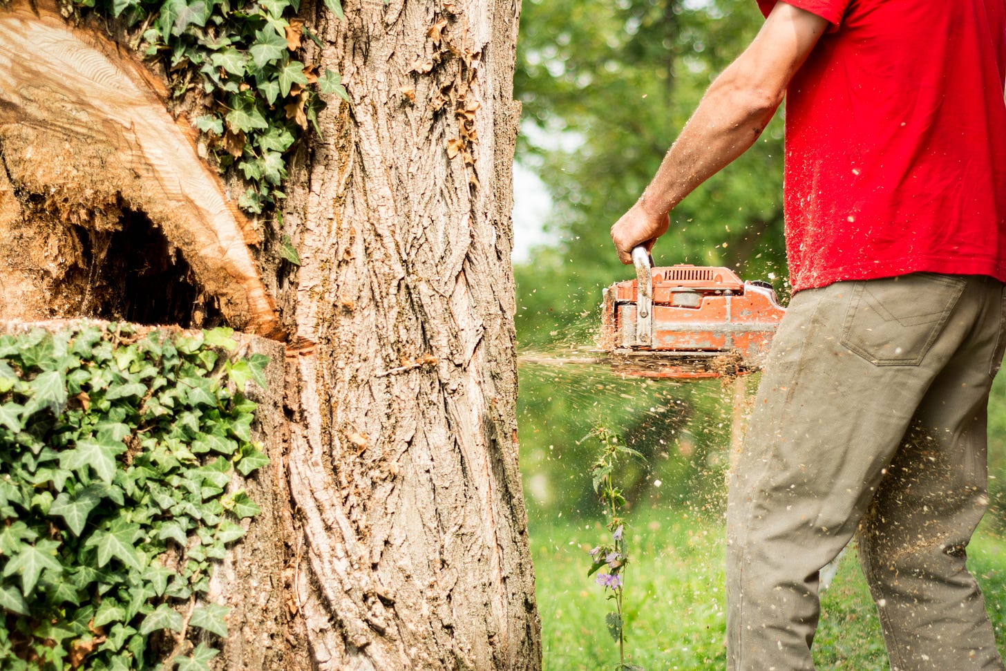 Some Reflections on a ‘Right to Volunteer’ Discourse