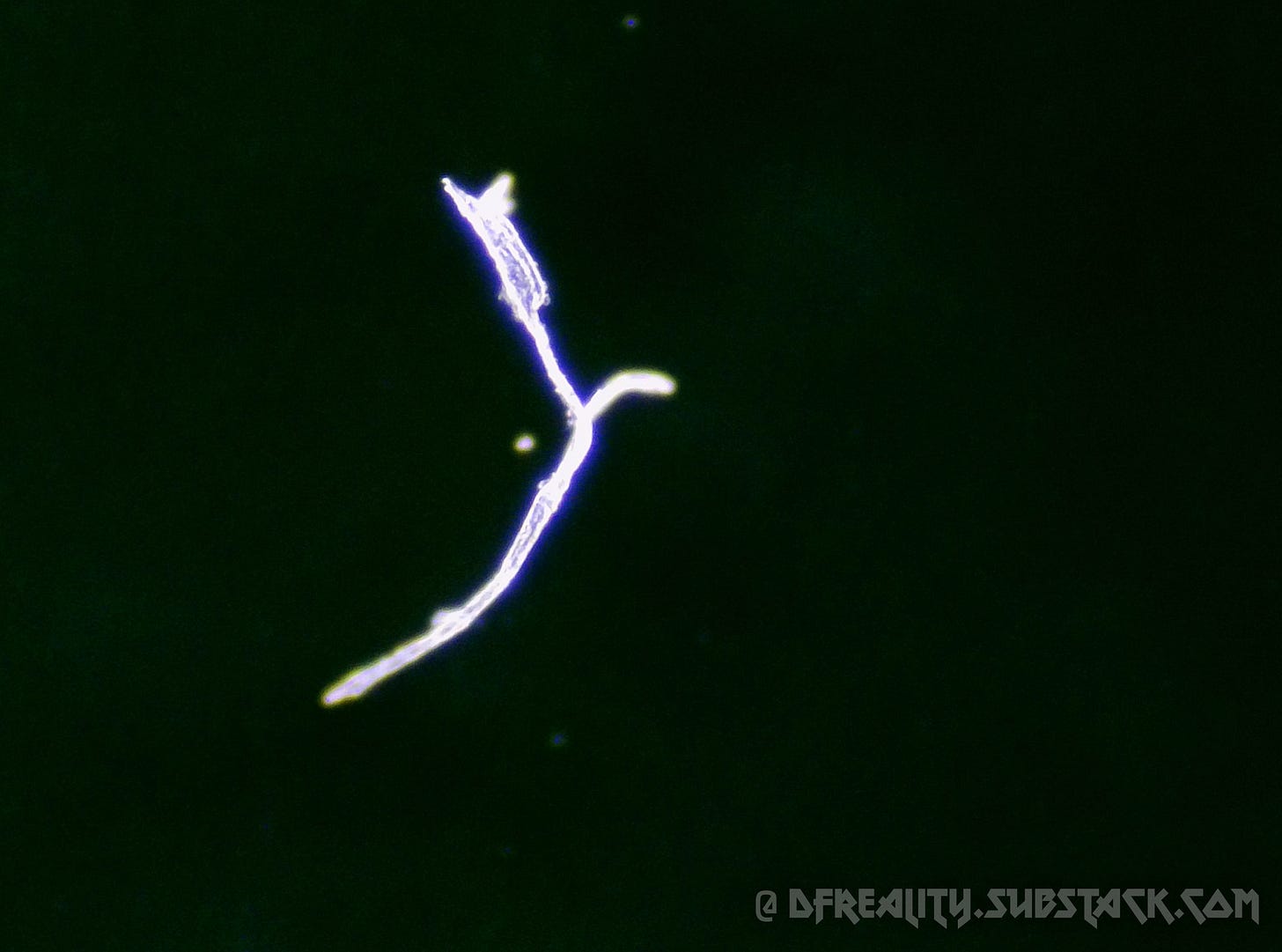 The Forced Evolution of Humanity: FIRST-HAND EVIDENCE of nanotechnology ...