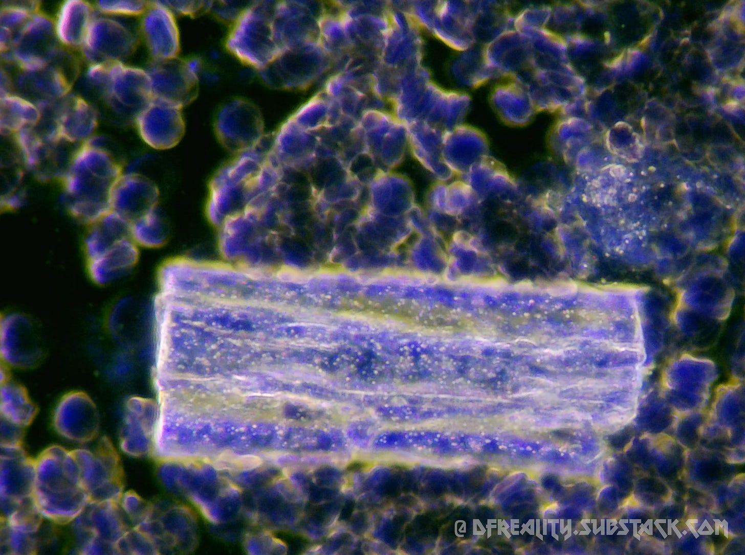 The Forced Evolution of Humanity: FIRST-HAND EVIDENCE of nanotechnology ...