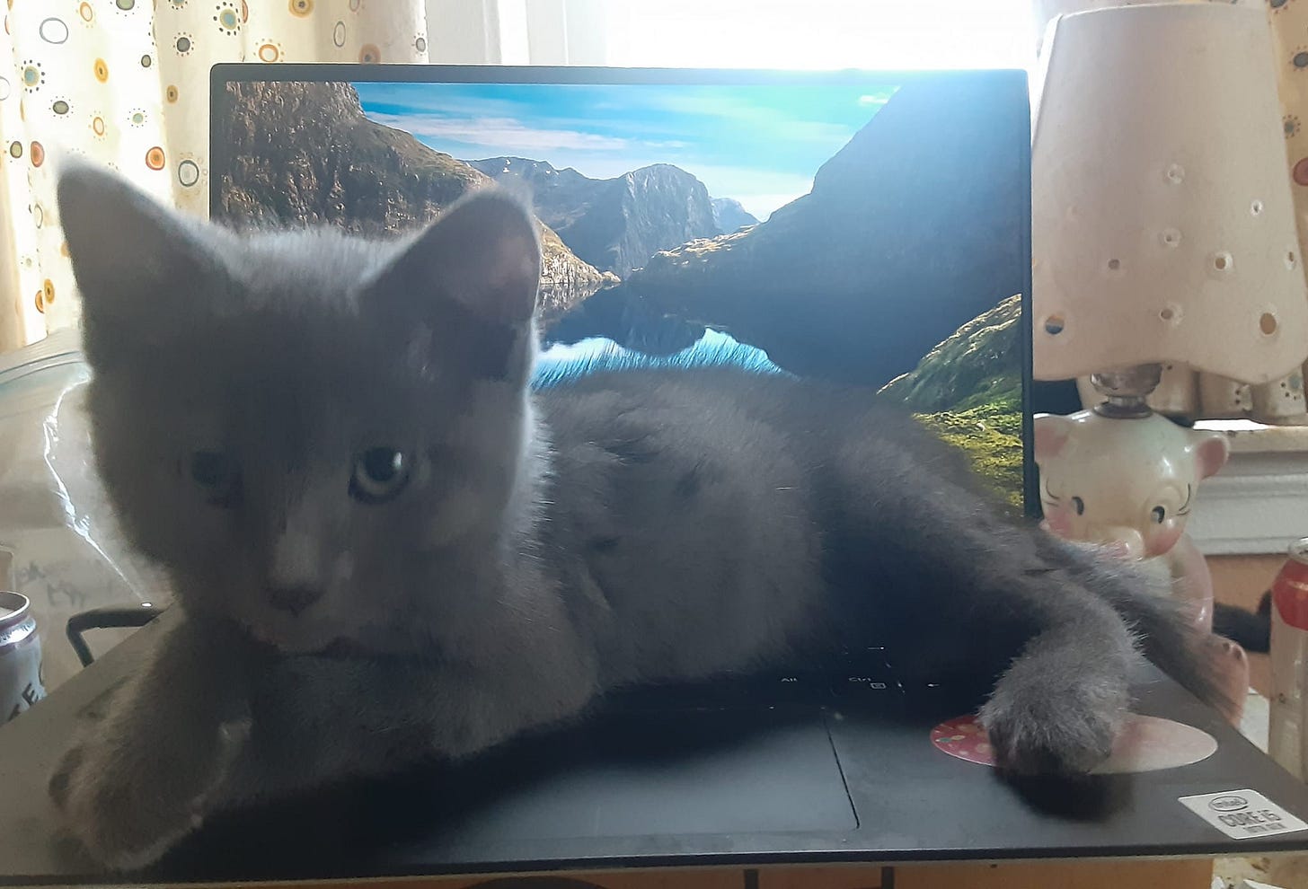 ‘Ex-Satanist’ Is Very Sure This Bette Midler Movie Will Get You Possessed By Satan ‘Ex-Satanist’ Is Very Sure This Bette Midler Movie Will Get You Possessed By Satan