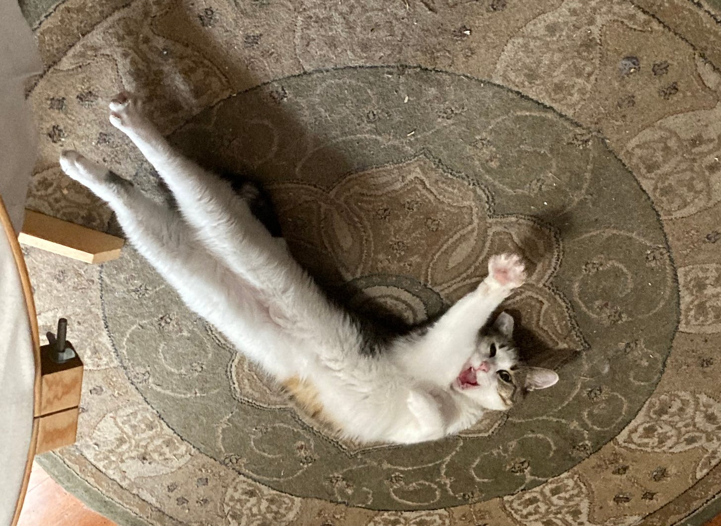 Shall We Get Our Grande Dame Guignol On?