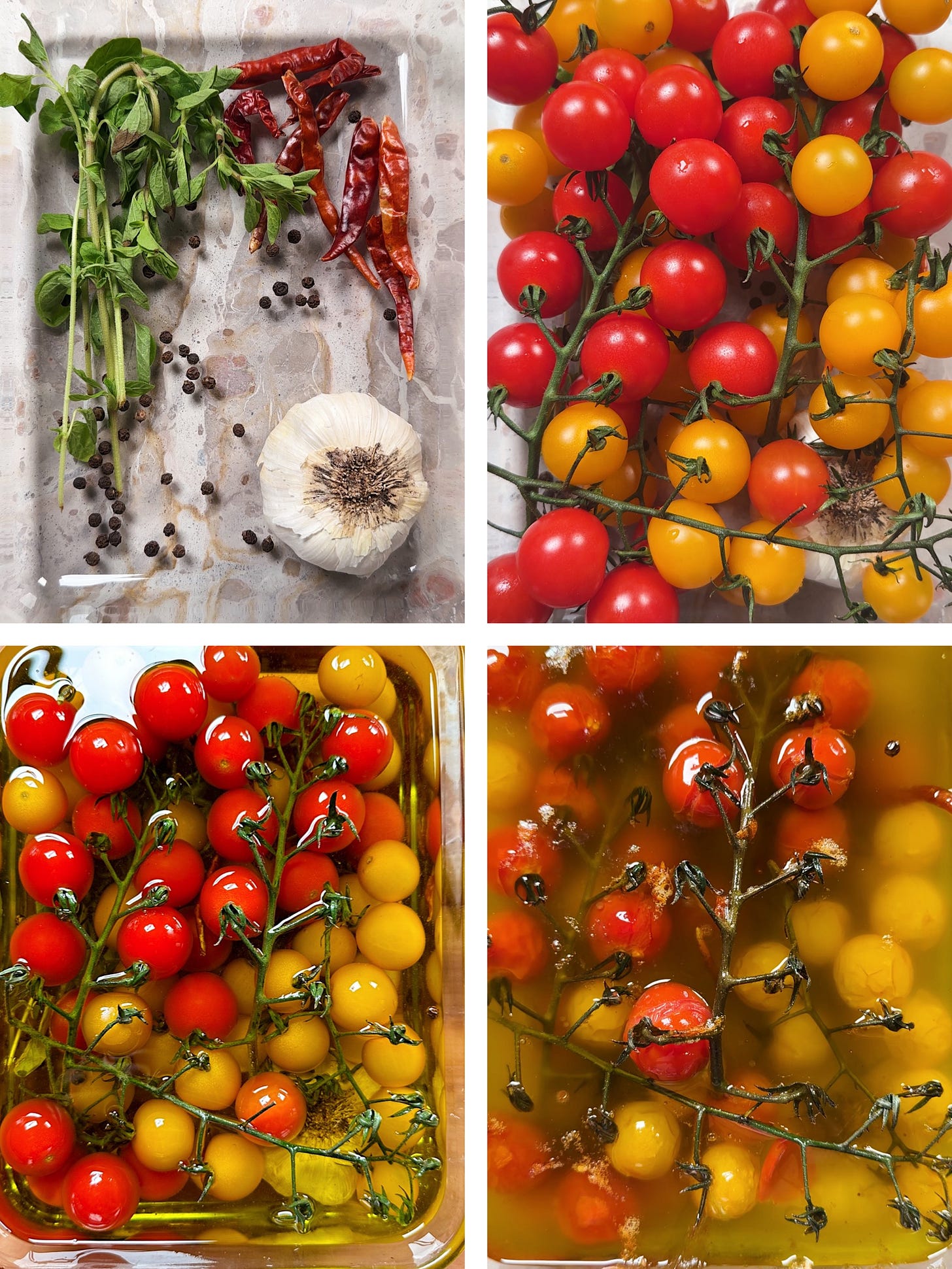A vibrant pasta salad featuring tomato garlic confit topped with a large, creamy ball of burrata cheese and fresh basil.