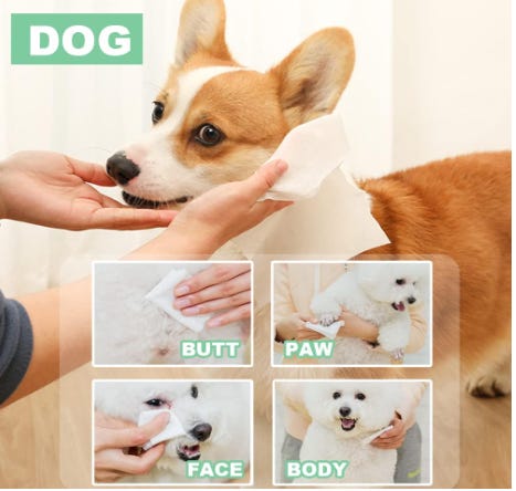 Wipe dogs bum on sale