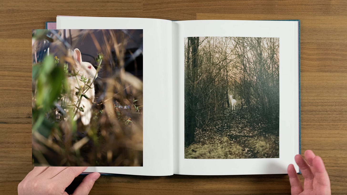 PHOTOBOOK REVIEW: Gregory Halpern - King, Queen, Knave