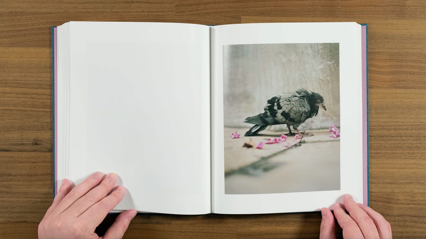 ZZYZX (First edition, signed) – MACK