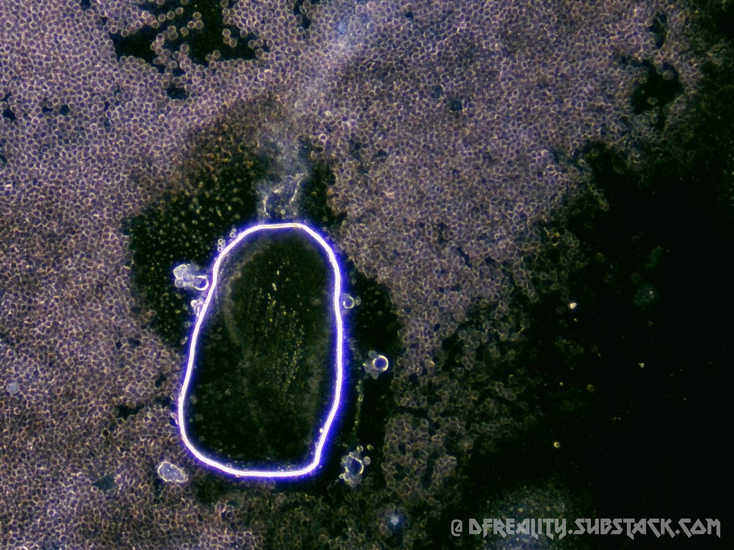 The Forced Evolution of Humanity: FIRST-HAND EVIDENCE of nanotechnology ...