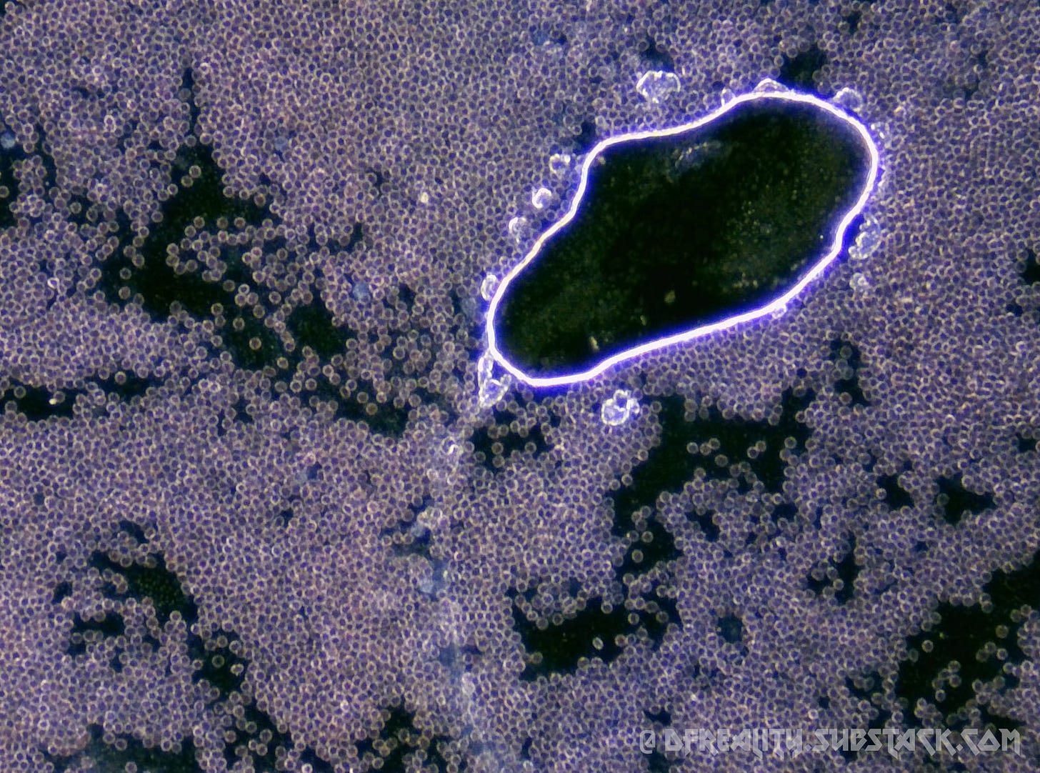 The Forced Evolution of Humanity: FIRST-HAND EVIDENCE of nanotechnology ...