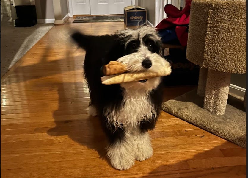 Richard Simmons And Anne Murray Want You To Believe In Yourself! Richard Simmons And Anne Murray Want You To Believe In Yourself!