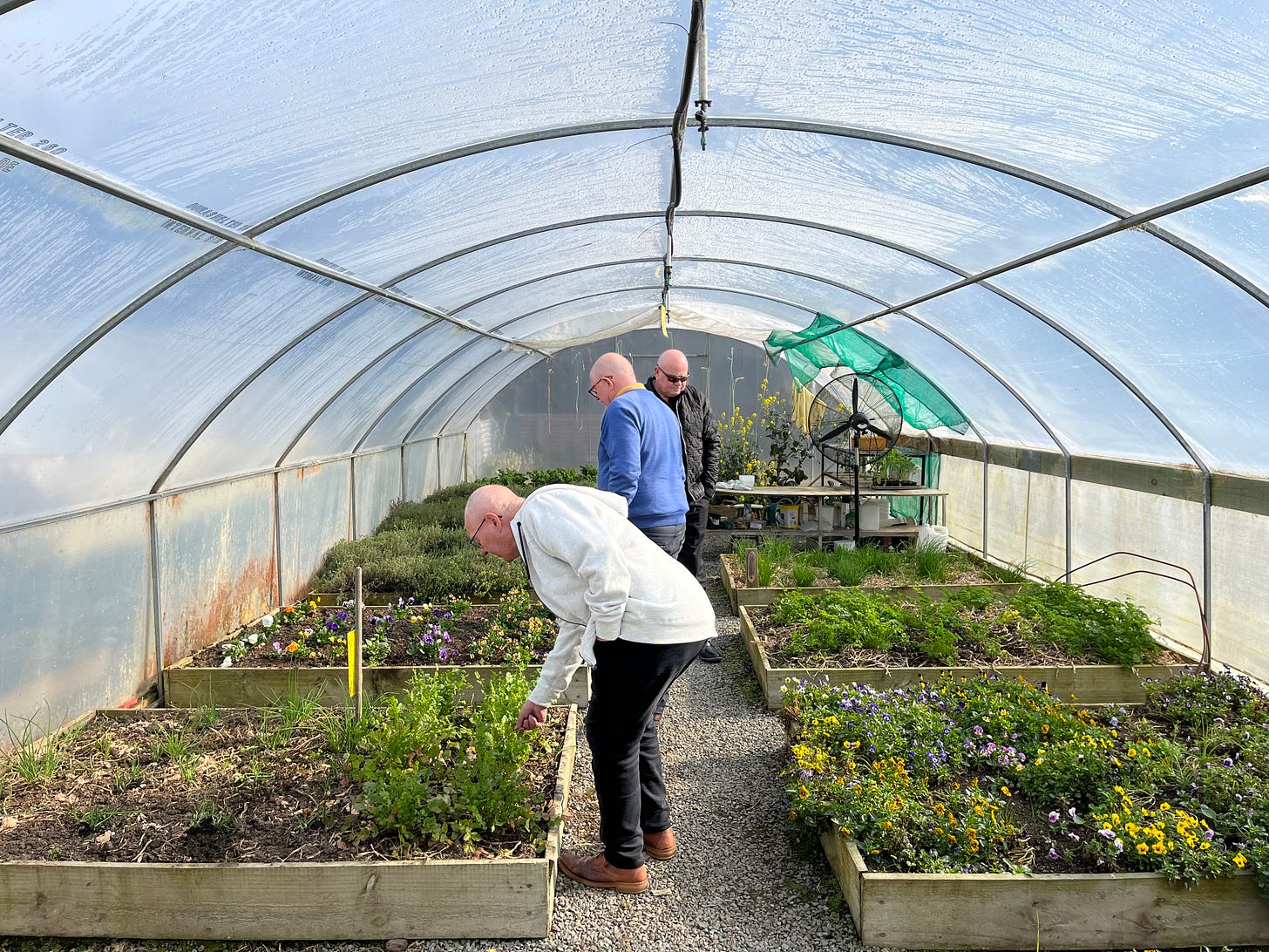 'Pasture to plate' Invercargill's hidden produce gem