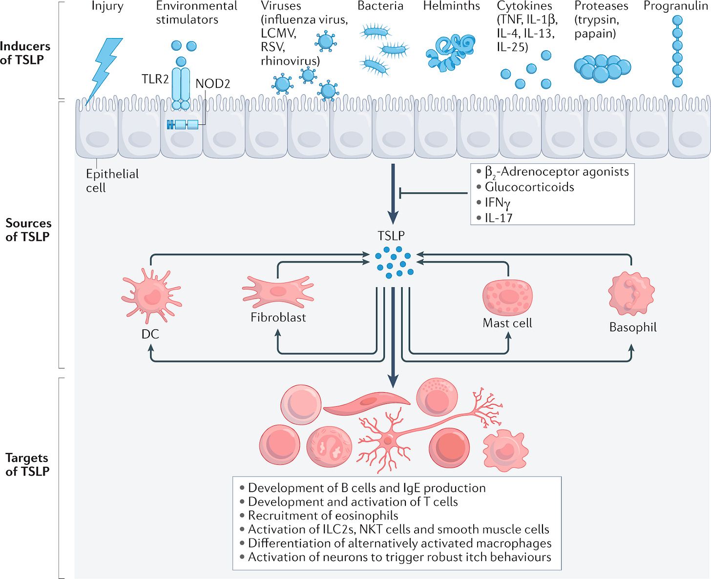 Immunology Cheat Sheet - by Dylan Neel and Aniqa Tasnim