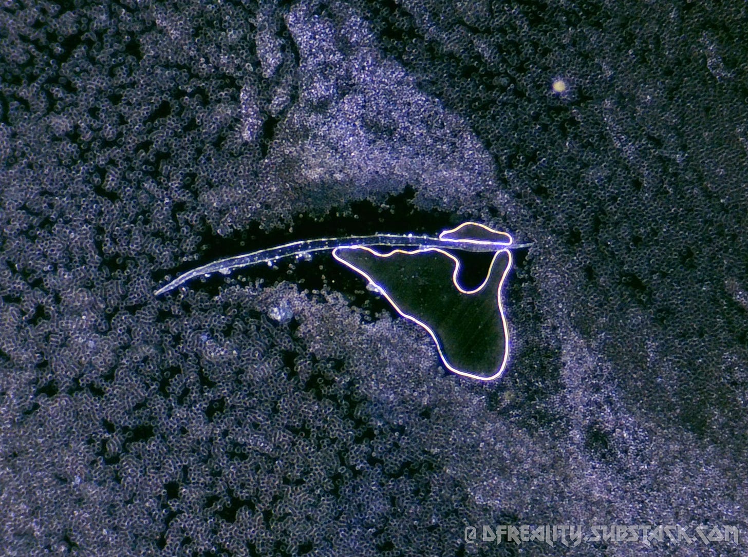 The Forced Evolution of Humanity: FIRST-HAND EVIDENCE of nanotechnology ...