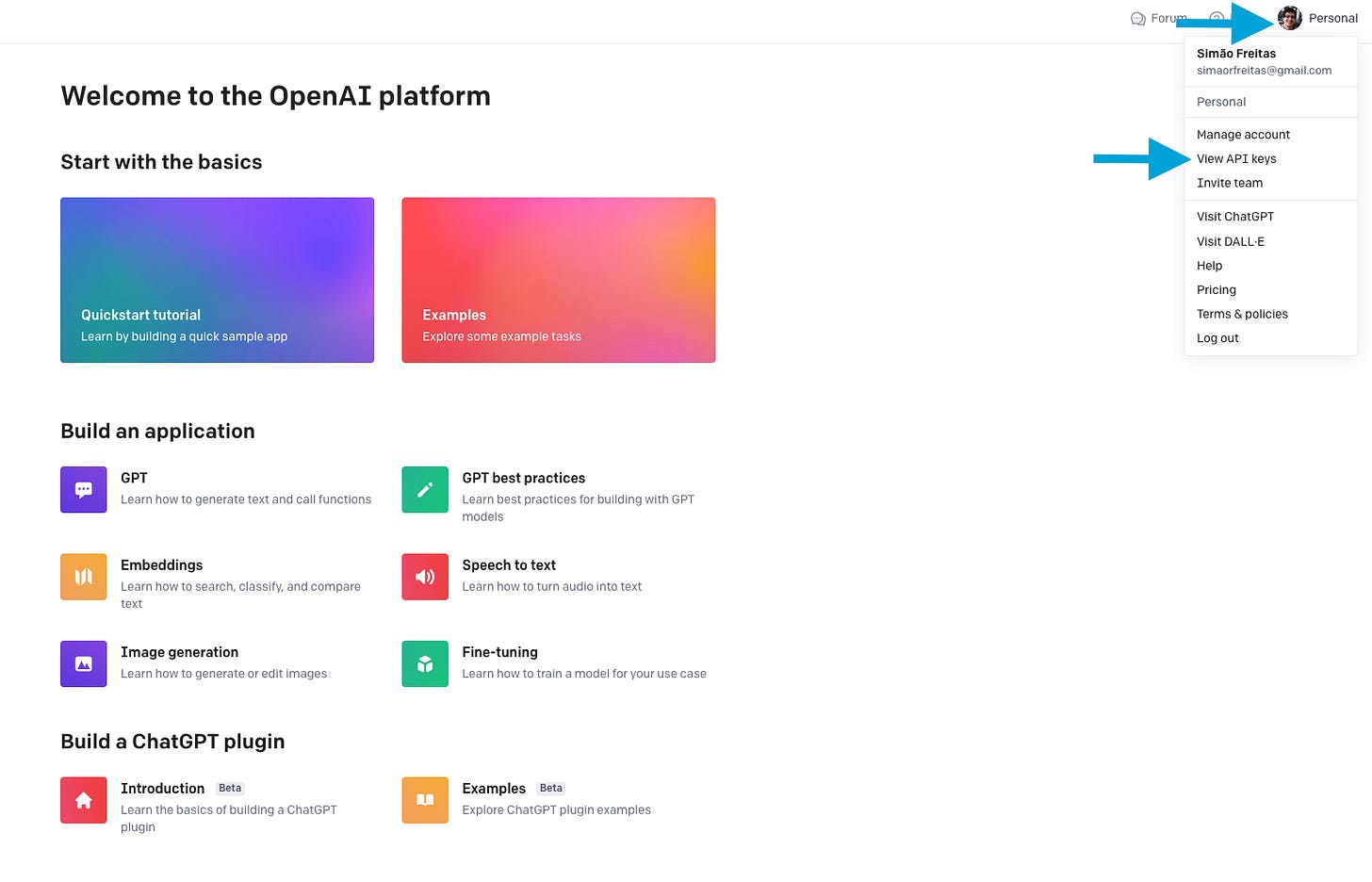 How to Get an OpenAI API Key - Yes, No Code