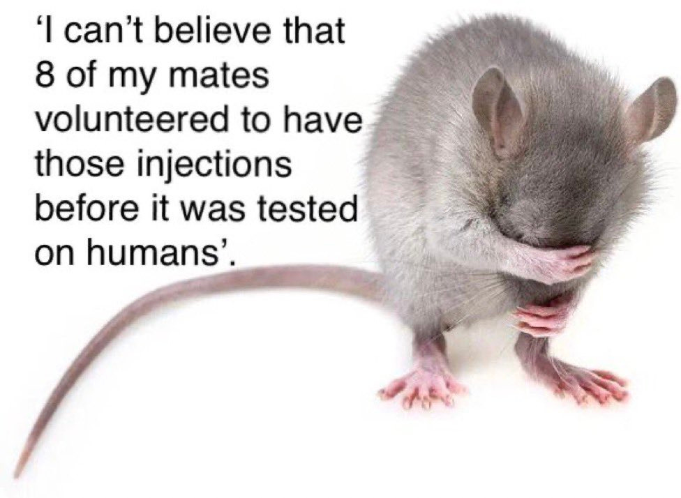 Australian adolescents set to become Pfizer's lab rats - World Freedom ...