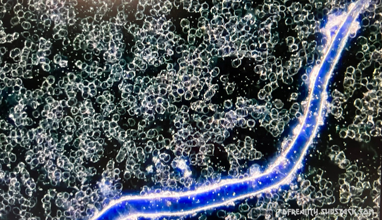 The Forced Evolution of Humanity: FIRST-HAND EVIDENCE of nanotechnology ...