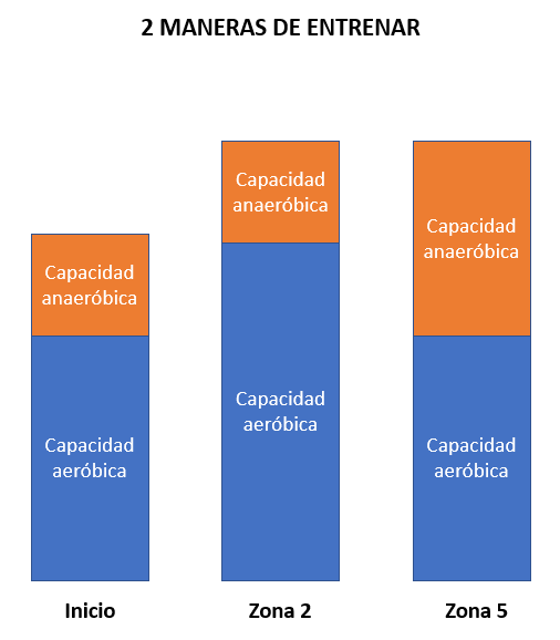 Entrenamiento en Zona 2. Objetivo: la vida | Dr. Oriol Roda