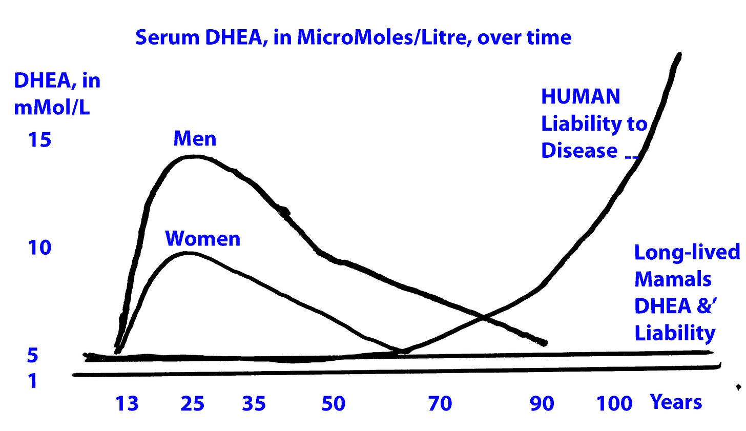 DHEA prevents cancer by Dr Gervais Harry