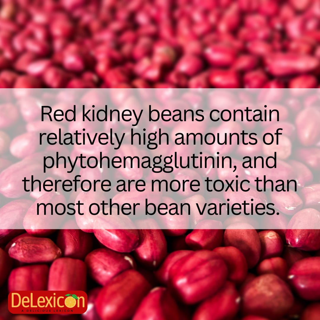 Red Kidney Beans Cerebral Soup's Newsletter