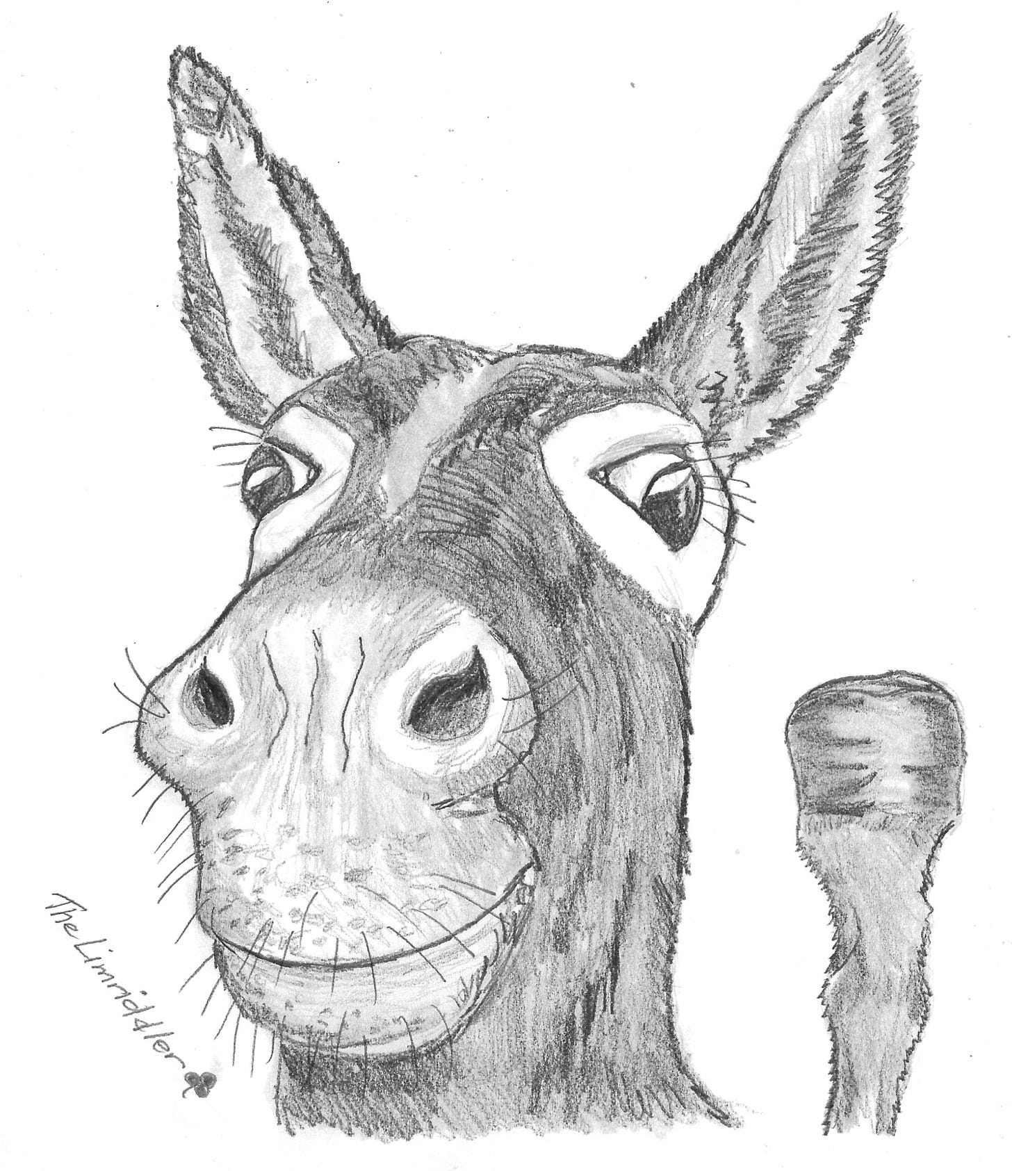 Obstinate Mule By The Limriddler Limriddles obstinate-mule-by-the-limriddler-limriddles