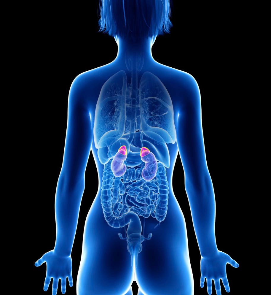 Cortisol : 7 techniques et 7 suppléments pour le faire baisser