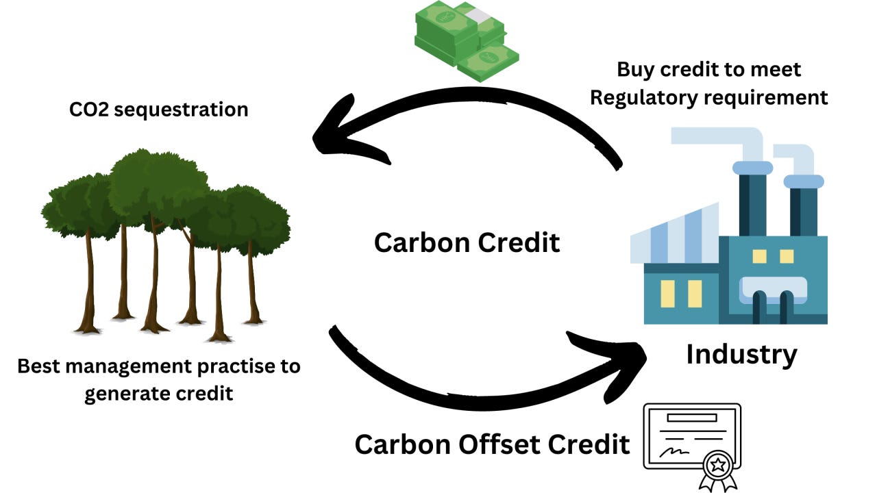 Image showcasing A Beginner's Guide to Understanding the Carbon Market