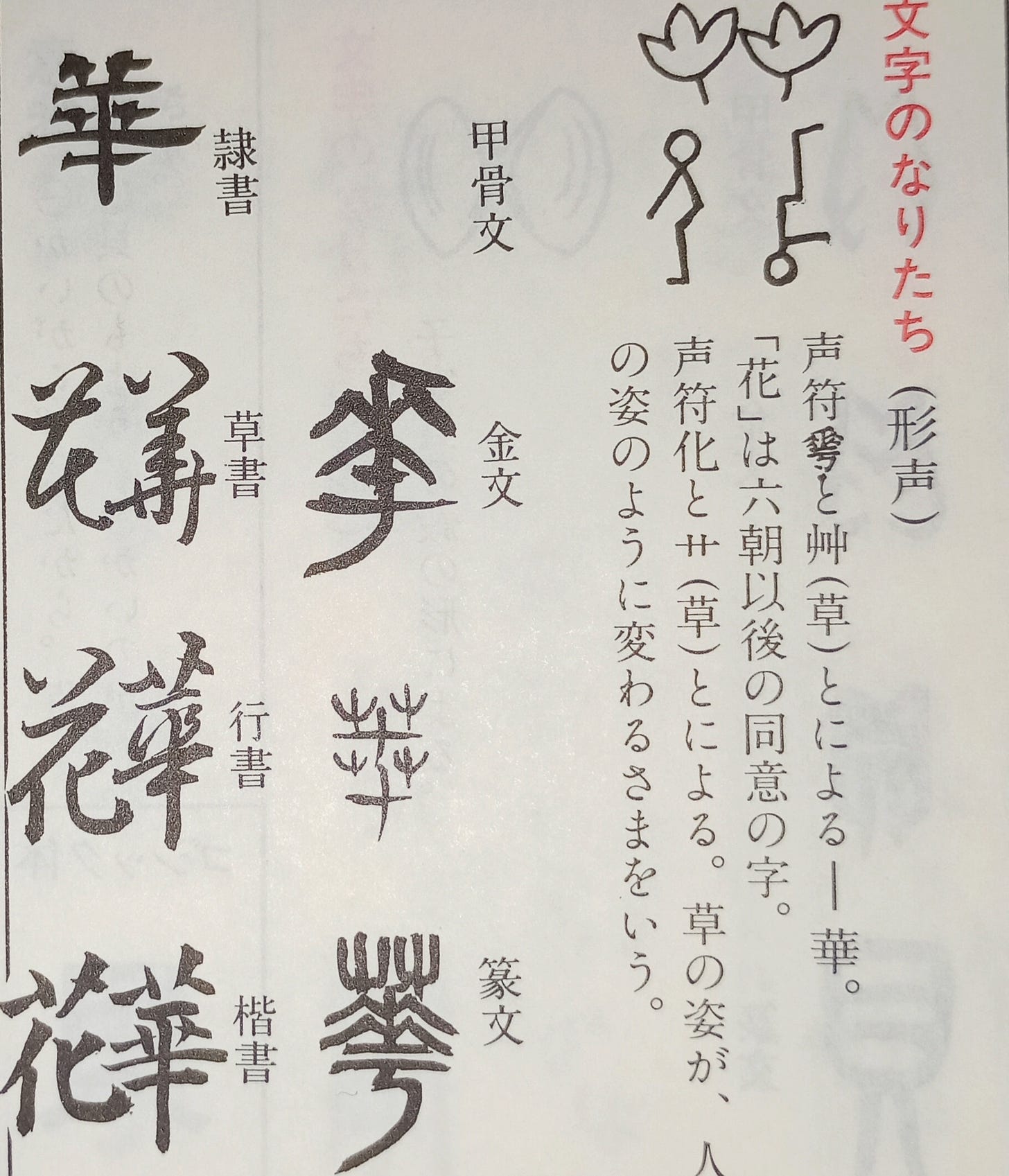 単行本】 有元光彦 / 九州西部方言動詞テ形における形態音韻現象