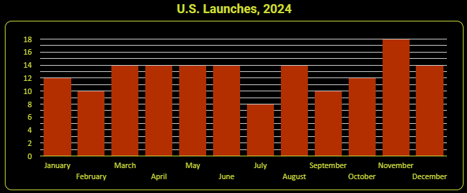 The Ill-Defined Space Global Orbital Launch Summary: 2024
