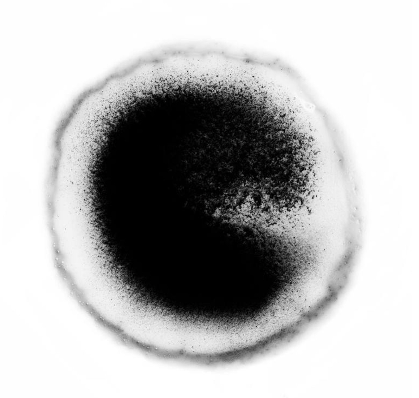 PacMan’s ghost Beau’s Substack