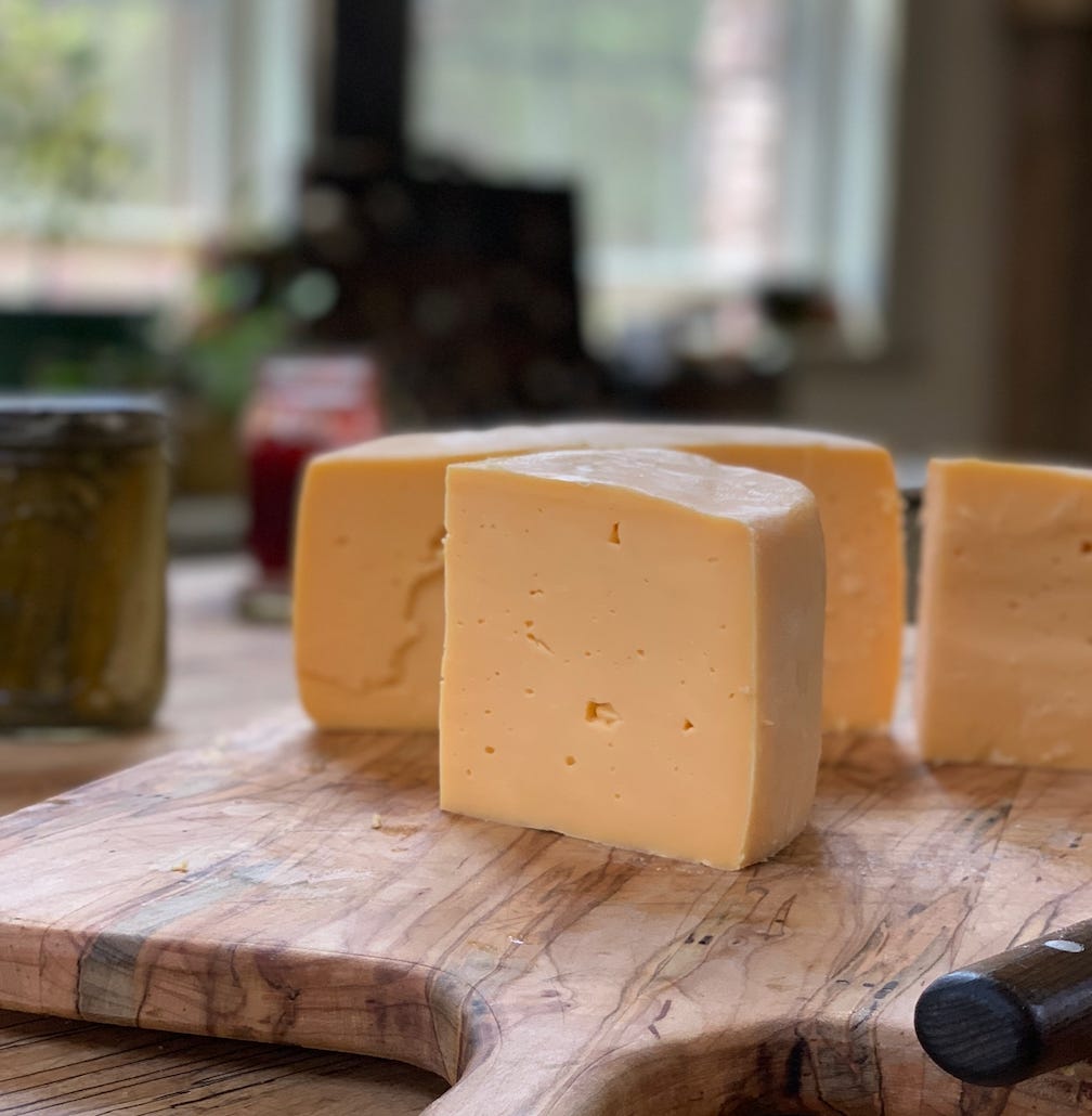 How to Make Animal by Quinn Plow in Hope