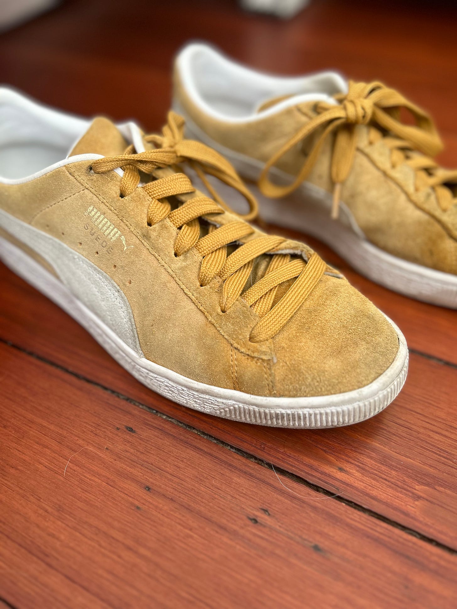 Who makes puma hotsell