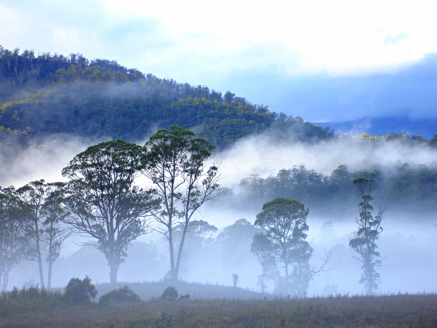 Collingwood River, Western Tasmania