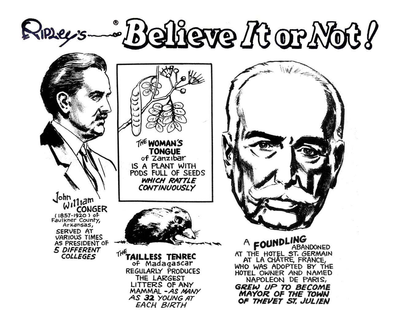 Robert Ripley: Believe It or Not! - by Bill Russell