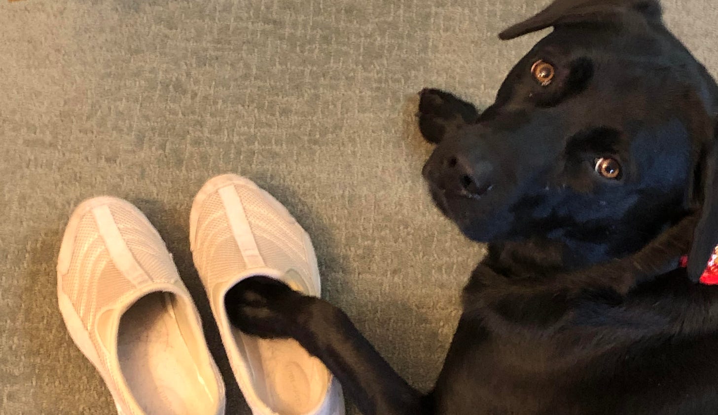 Aren’t You Glad You Don’t Have A Track Meet This Morning? Aren’t You Glad You Don’t Have A Track Meet This Morning?