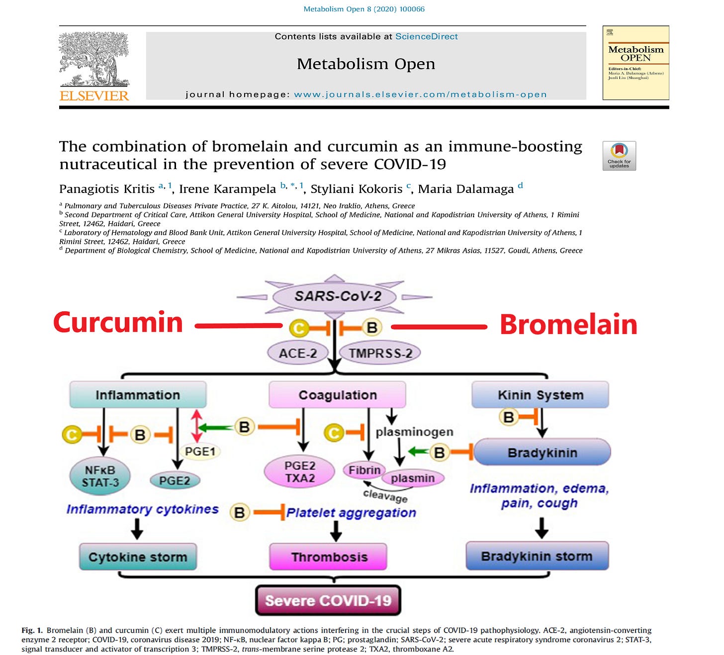 Roles of Bromelain and Curcumin in Battling Recurrent SARSCoV2 Spike