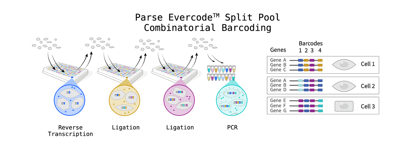So, what is the difference between Parse and Scale Bio scRNA-seq kits?