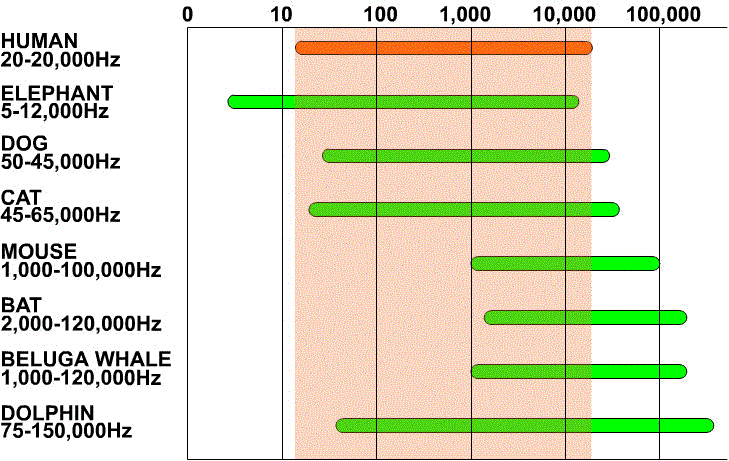 Spectral analysis of frequencies across the hearing range