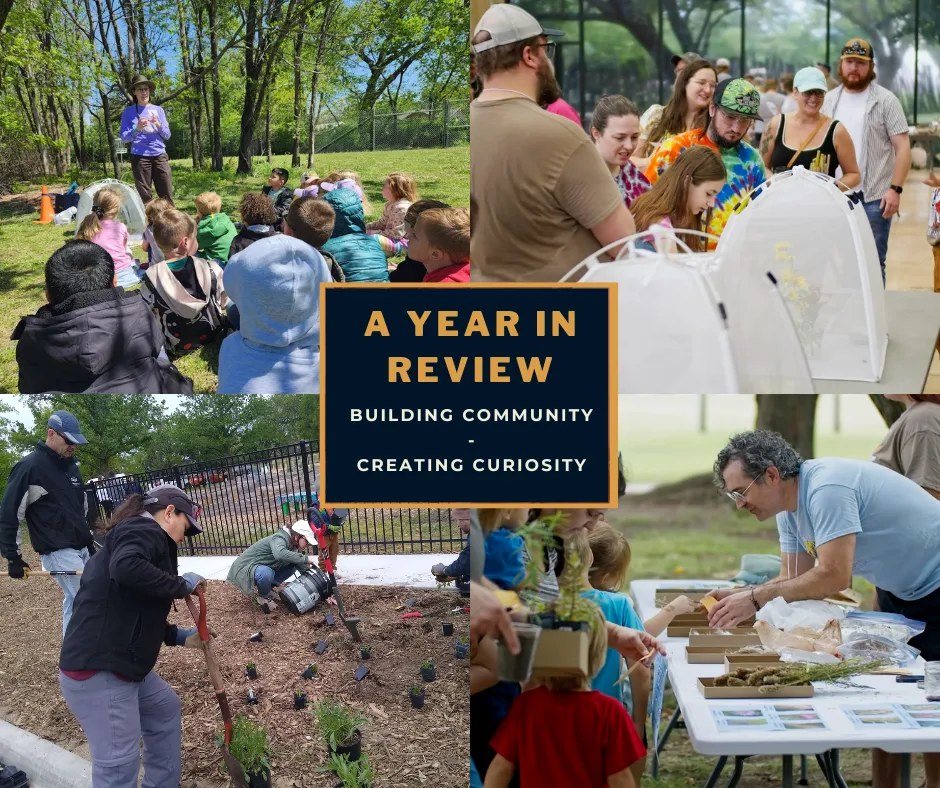 A collage of four photos shows our various engagement in 2024, with youth programs, our bumblebee petting zoo, volunteers installing a native garden, and a volunteer teaching families about native seeds.