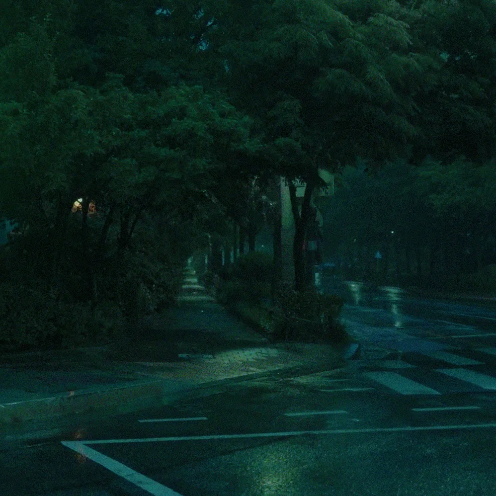 A rainy street in Seoul at night. A walkway extends past a crosswalk. It is lined with trees, and is covered by a thick canopy of their leaves.