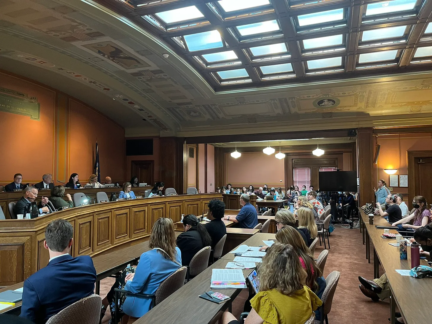 Wisconsin Trans Bans Meet Massive Resistance, 10,000 Pages Of Opposition Testimony (erininthemorning.com)