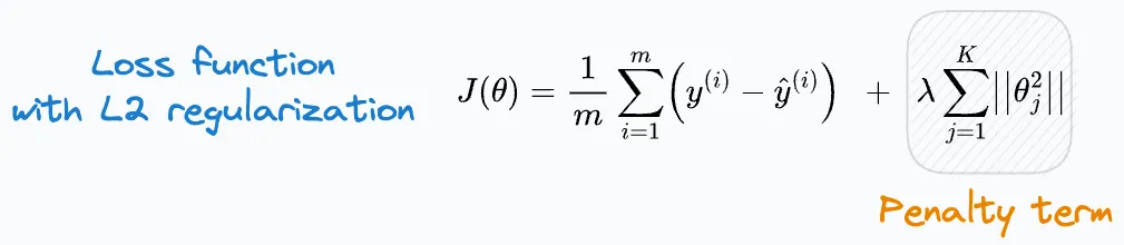 Regularization Penalty Term