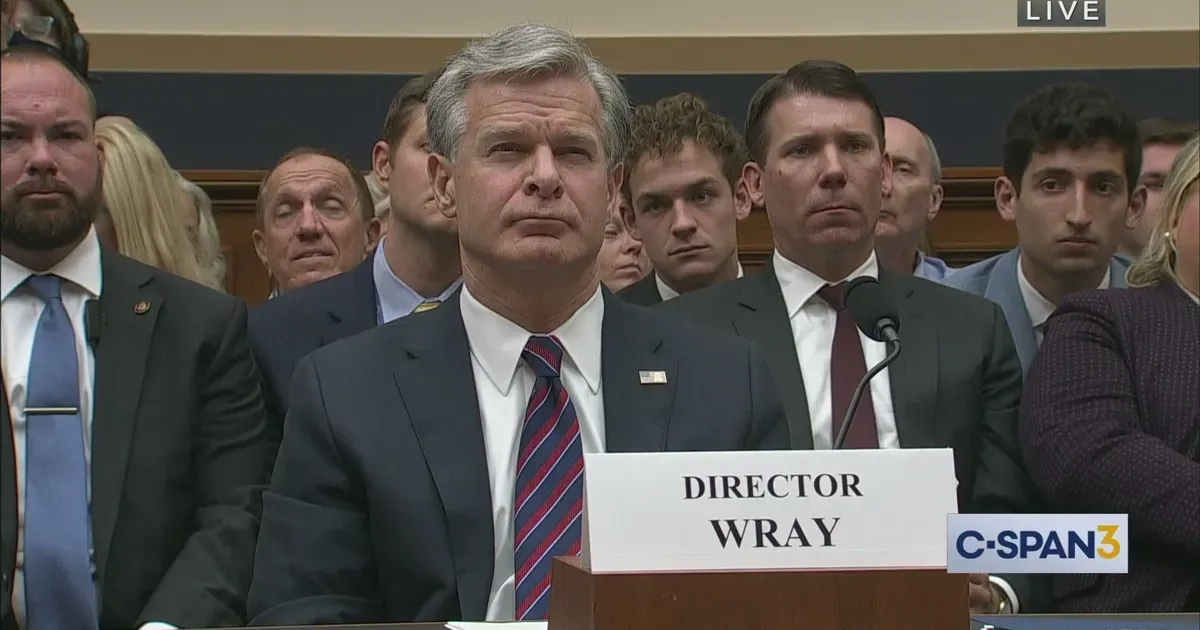 Wray: FBI has a new dedicated unit to monitor threats against federal law enforcers (deanobeidallah.substack.com)
