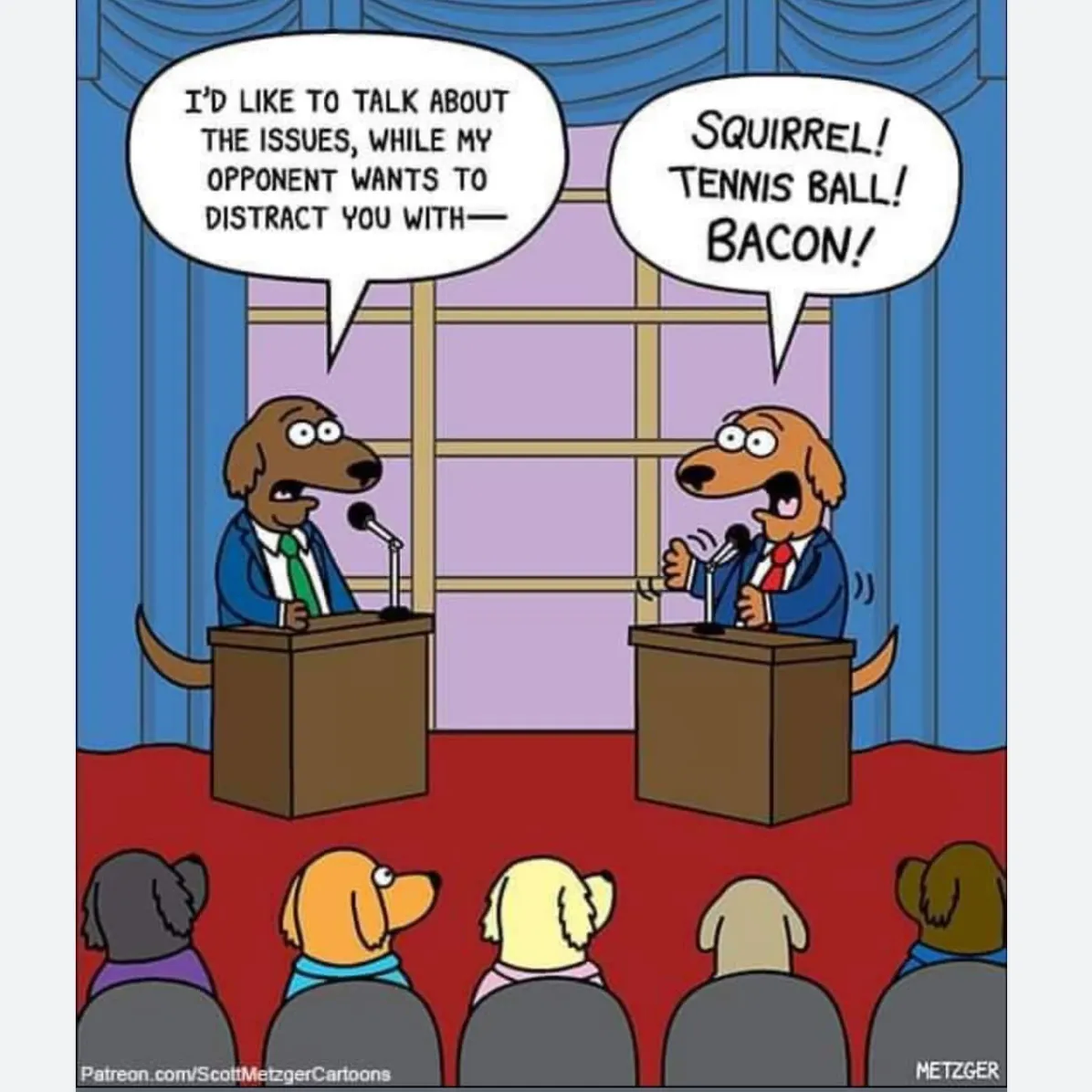 Squirrel! | The Weekly Sift